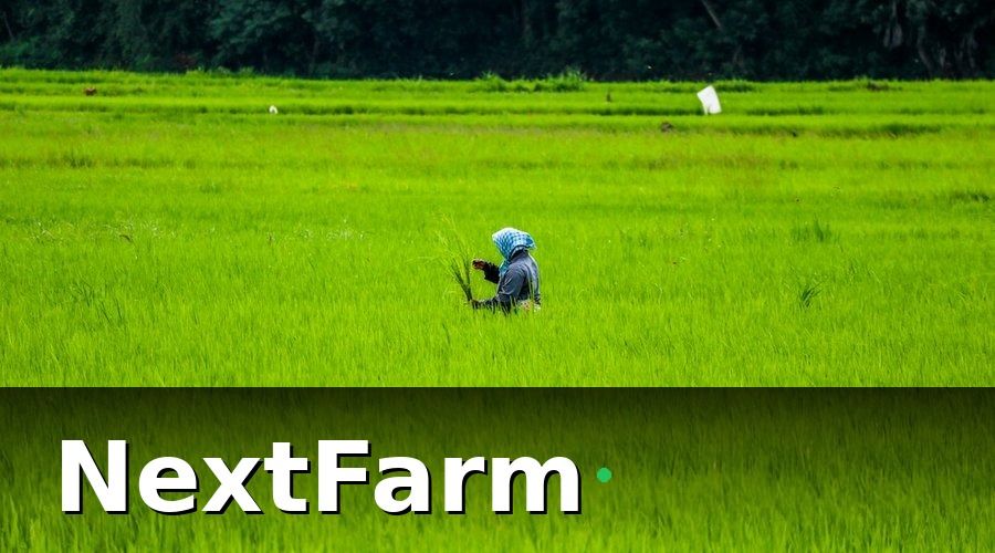 NextFarm — Cách thu thập dữ liệu hiệu quả cho báo cáo ISO 22000