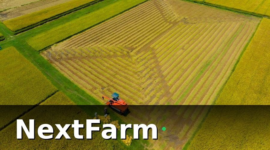 NextFarm — Tại sao cần báo cáo hiệu quả ruộng lúa sau mỗi vụ?
