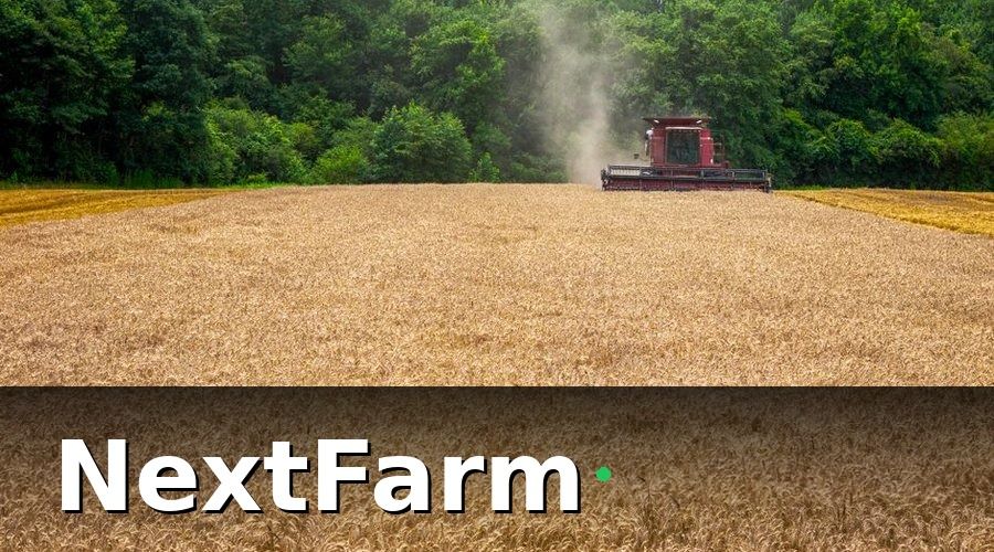 NextFarm — Các chỉ tiêu cốt lõi trong báo cáo hiệu quả ruộng lúa