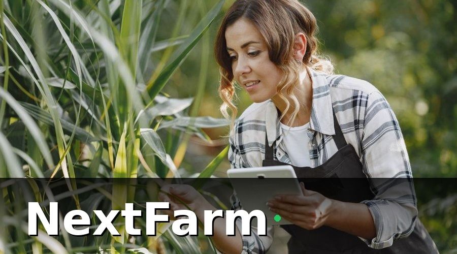 NextFarm — Tại sao báo cáo hiệu quả nhà kính lại quan trọng?