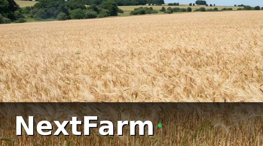 NextFarm — Các chỉ số cốt lõi cần theo dõi
