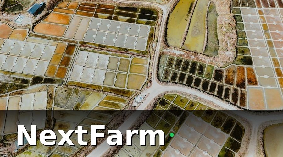 NextFarm — Tại sao báo cáo hiệu quả ao nuôi quan trọng hơn bạn nghĩ