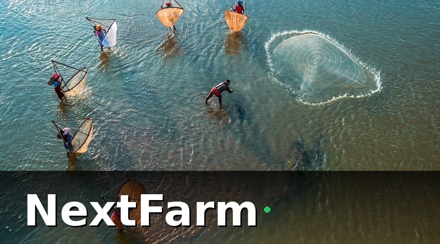 NextFarm — Mẫu báo cáo hiệu quả ao nuôi tôm công nghiệp
