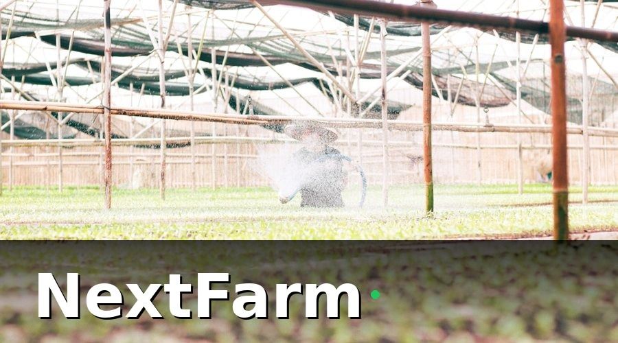 NextFarm — Tại sao báo cáo hiệu quả trang trại thủy canh lại quan trọng?