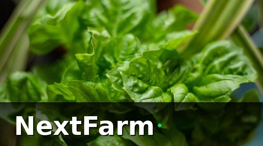 NextFarm — Các chỉ số cốt lõi cần có trong báo cáo hiệu quả