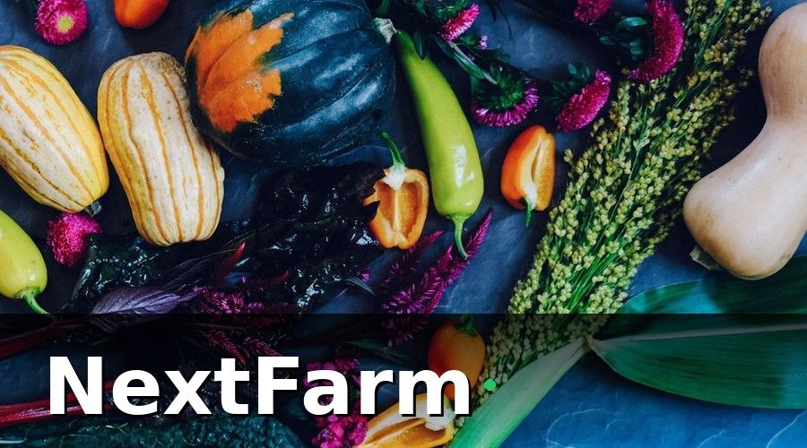 NextFarm — Mẫu báo cáo hiệu quả trang trại rau thủy canh theo tháng