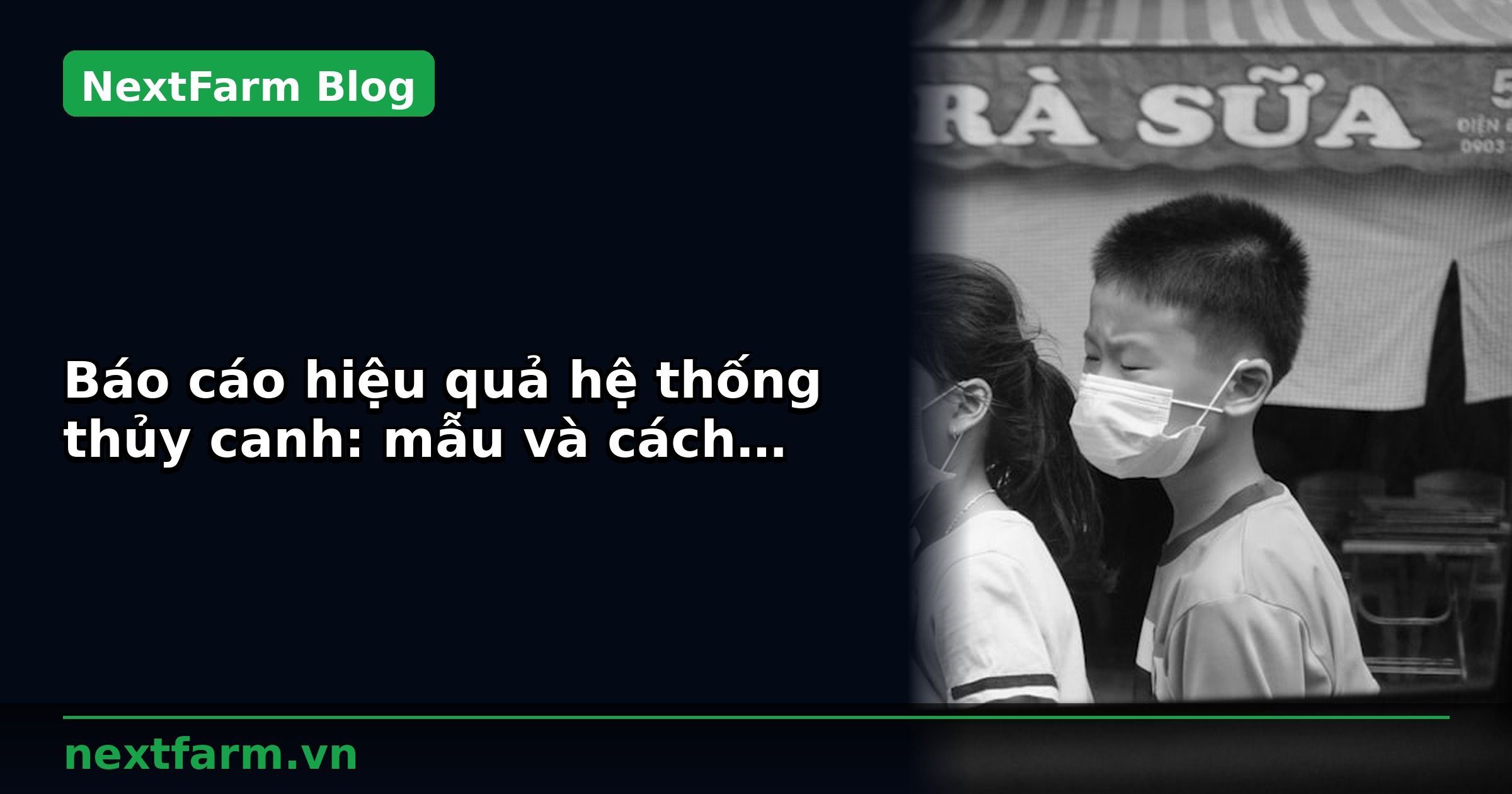 Báo cáo hiệu quả hệ thống thủy canh: mẫu và cách phân tích | NextFarm