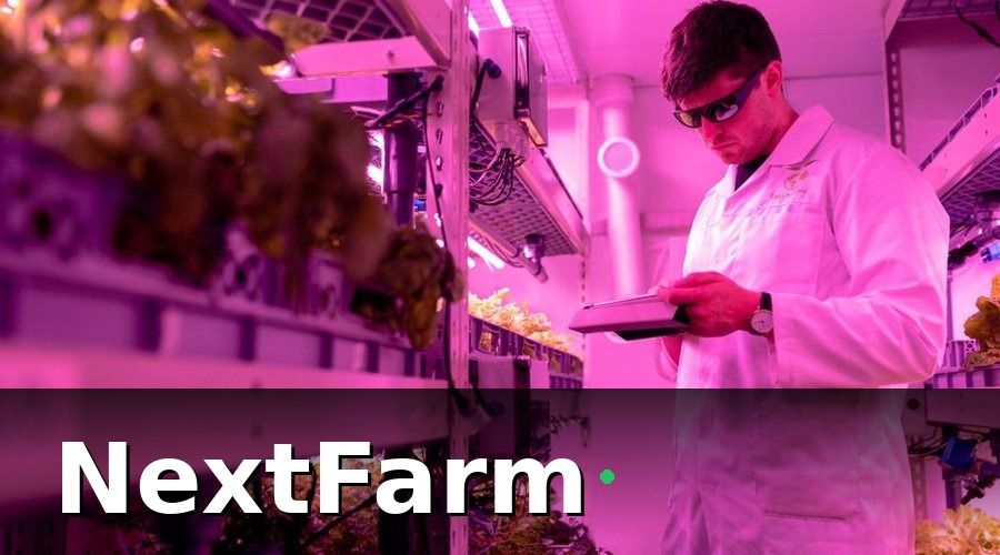 NextFarm — Tại sao cần báo cáo hiệu quả hệ thống thủy canh?