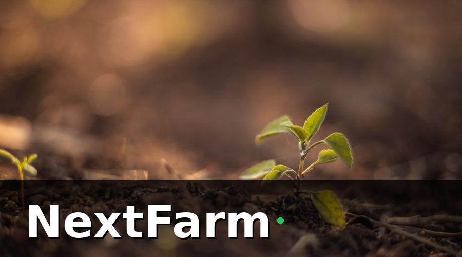 NextFarm — Các chỉ số cốt lõi trong báo cáo hiệu quả thủy canh