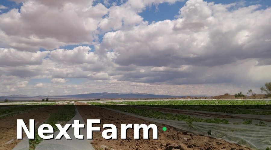 NextFarm — Mẫu báo cáo hiệu quả hệ thống thủy canh theo tuần và vụ