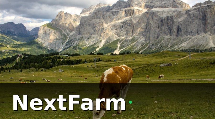 NextFarm — Các chỉ số cốt lõi trong báo cáo hiệu quả trang trại dê cừu
