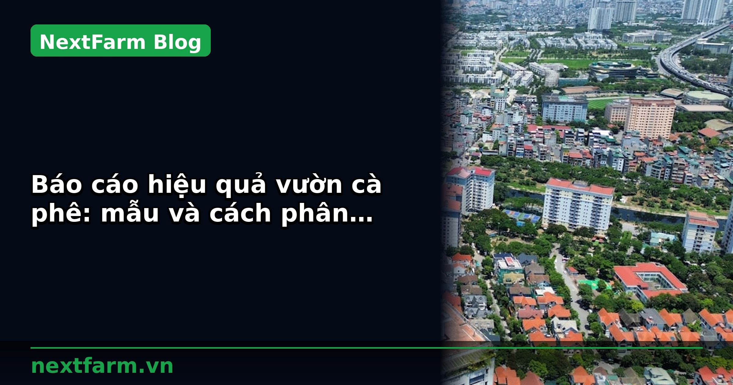 Báo cáo hiệu quả vườn cà phê: mẫu và cách phân tích | NextFarm