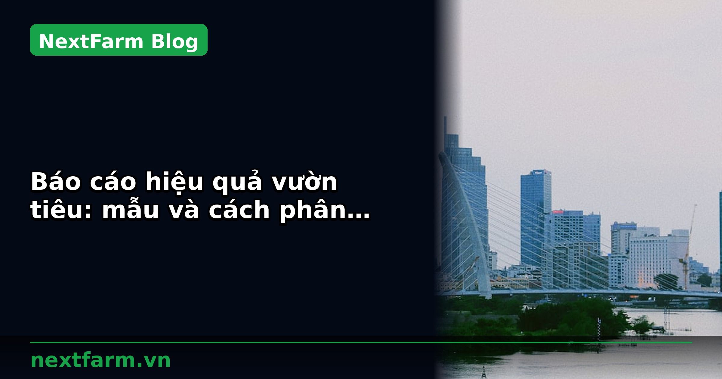 Báo cáo hiệu quả vườn tiêu: mẫu và cách phân tích | NextFarm