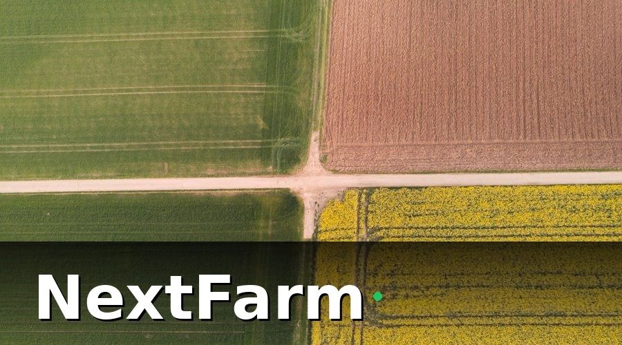NextFarm — Cấu trúc mẫu báo cáo hiệu quả vườn tiêu