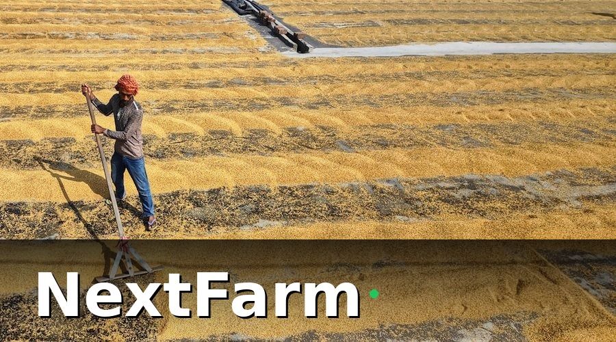 NextFarm — Tại Sao Báo Cáo Nông Nghiệp Hàng Tháng Quan Trọng Hơn Bạn Nghĩ