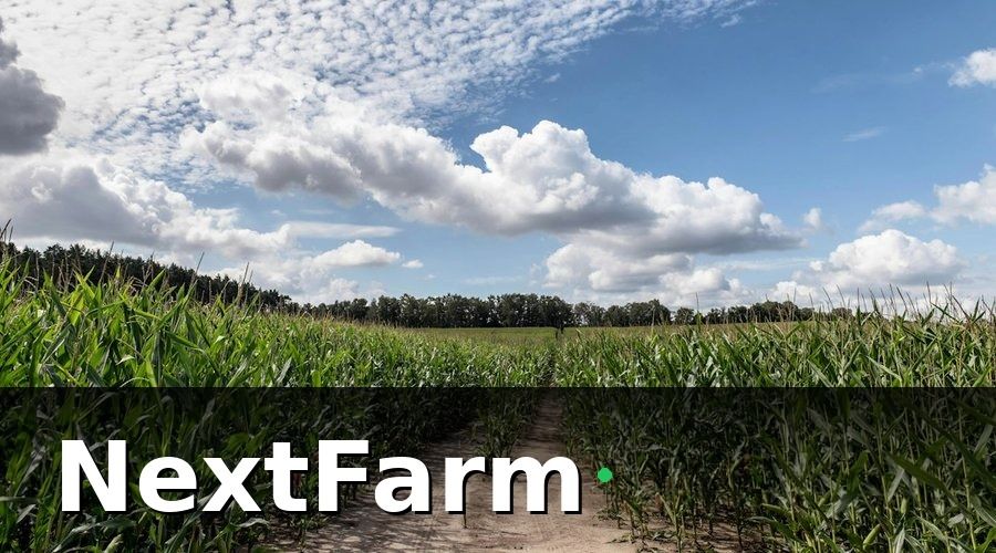 NextFarm — Bảo hiểm tự nguyện và những gói phổ biến