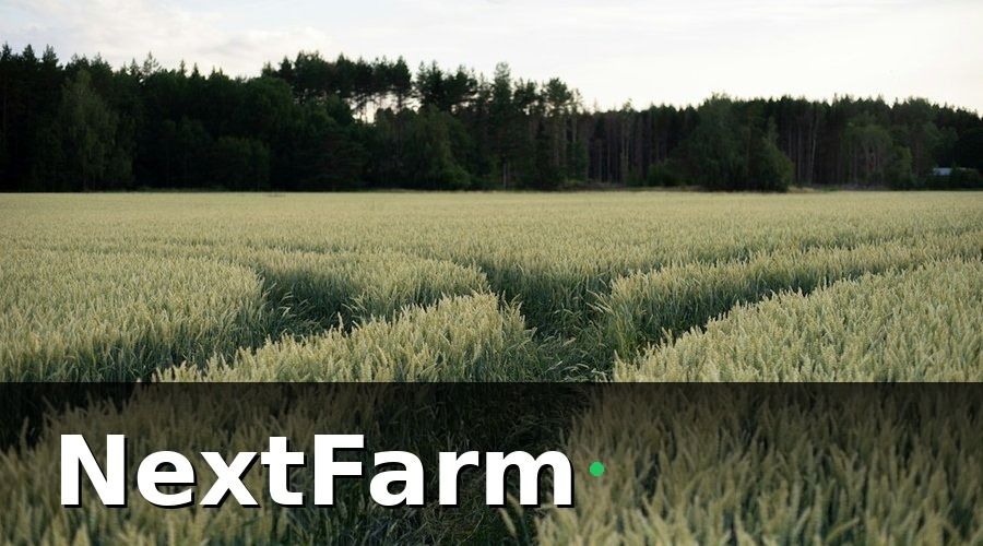 NextFarm — Vai trò của AI phát hiện sâu bệnh trong việc giảm rủi ro