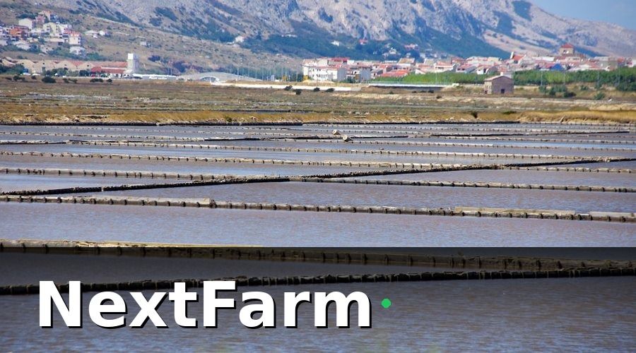 NextFarm — Bảo hiểm nông nghiệp cho thủy sản là gì?