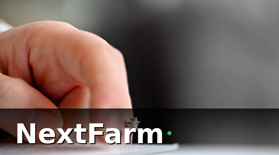 NextFarm — Các loại bảo hiểm nông nghiệp phổ biến cho ao nuôi thủy sản