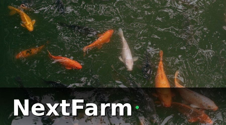 NextFarm — Rủi ro nào KHÔNG được bảo hiểm thủy sản chi trả?