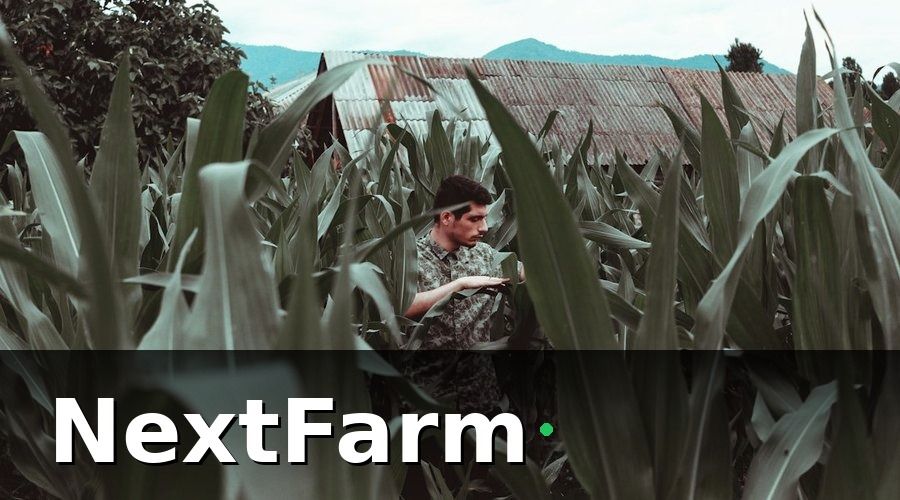 NextFarm — Vai trò của công nghệ số trong thẩm định và bồi thường