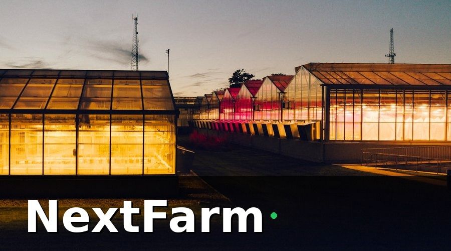 NextFarm — Bảo hiểm bắt buộc: 3 loại nông trại GlobalGAP không được thiếu
