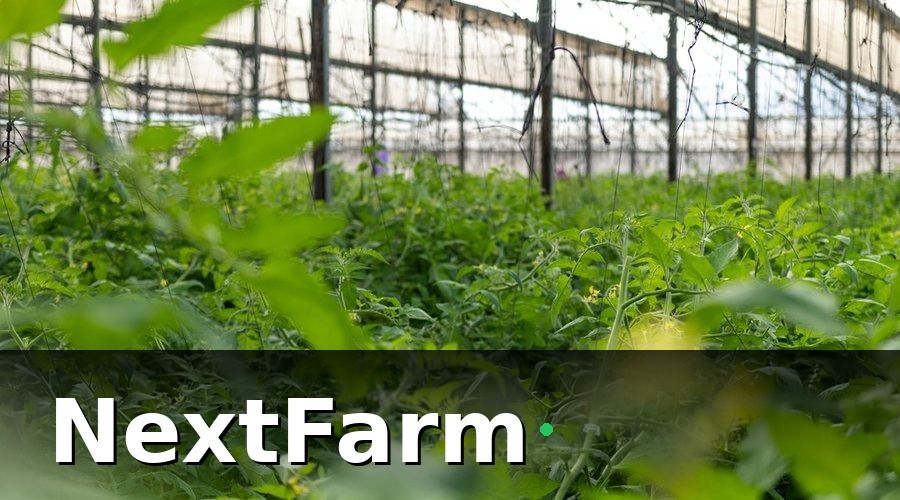 NextFarm — Tại sao cơ sở HACCP nông sản cần bảo hiểm riêng?