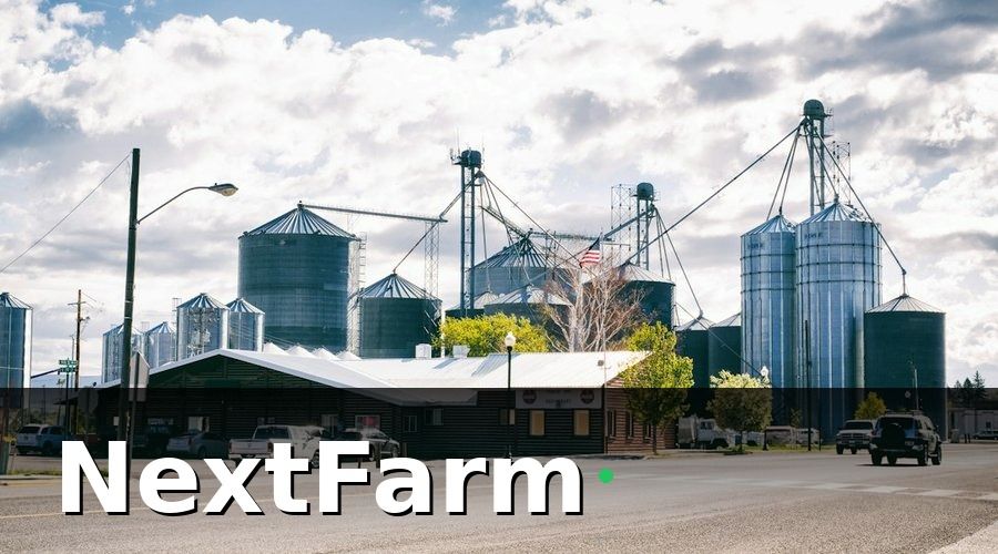 NextFarm — Các loại bảo hiểm tự chọn — nên cân nhắc nghiêm túc