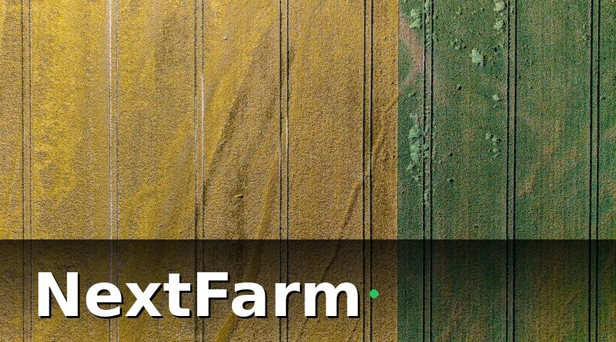 NextFarm — Bảo hiểm nông nghiệp là gì? Tại sao nông trại hữu cơ cần đặc biệt lưu ý?