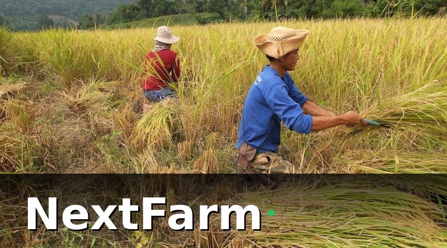 NextFarm — Khung pháp lý bảo hiểm nông nghiệp tại Việt Nam