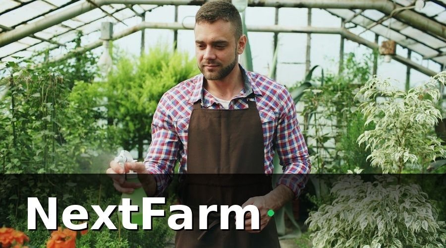 NextFarm — Các loại bảo hiểm tự chọn nhưng rất nên cân nhắc