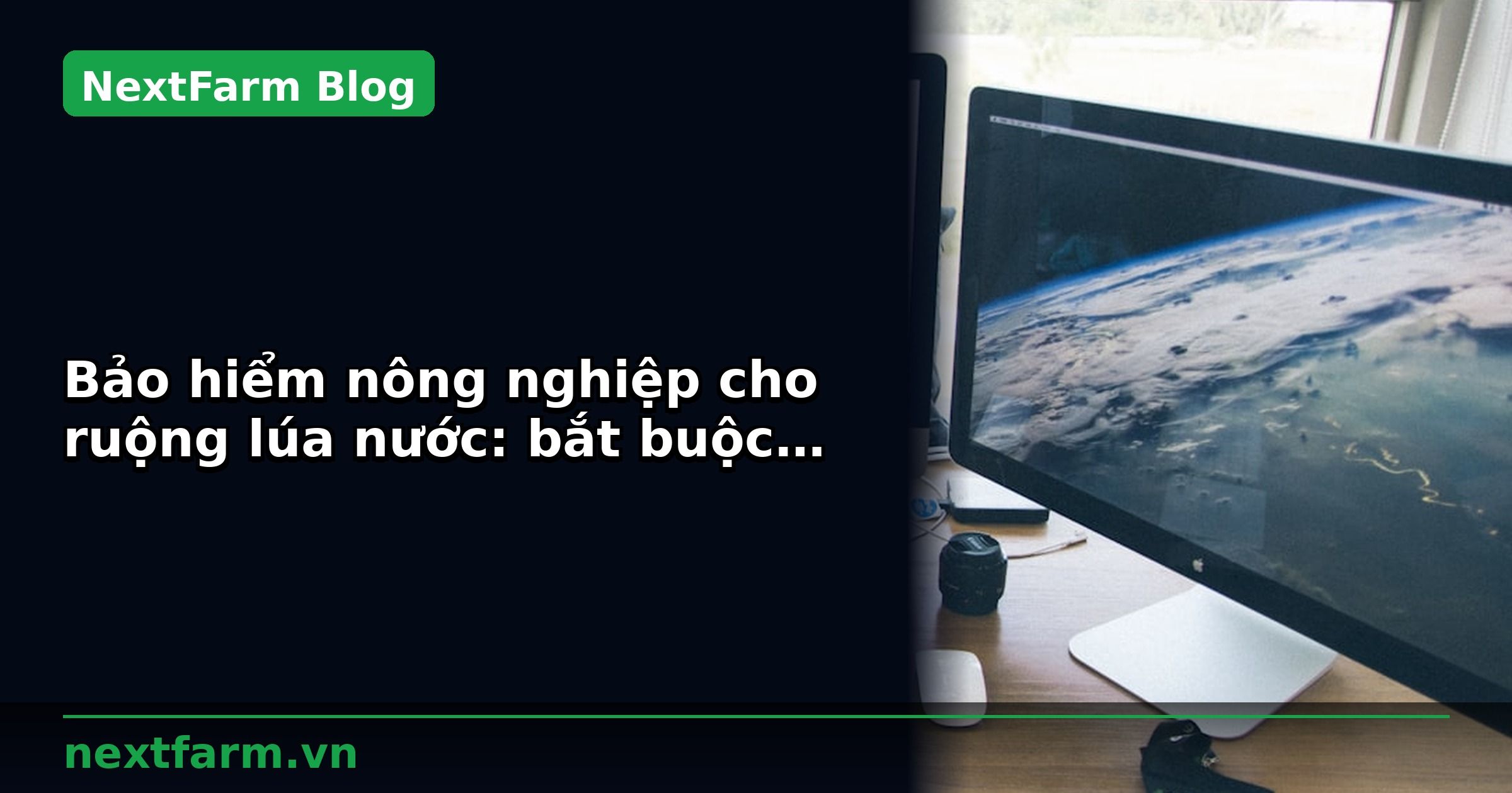 Bảo hiểm nông nghiệp cho ruộng lúa nước: bắt buộc và tự chọn | NextFarm
