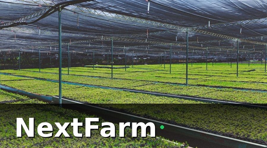 NextFarm — Tại sao nhà kính công nghệ cao cần bảo hiểm riêng?