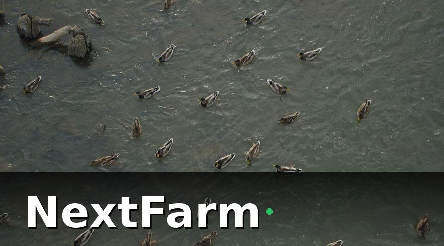NextFarm — Bảo hiểm nông nghiệp trong nuôi tôm là gì?