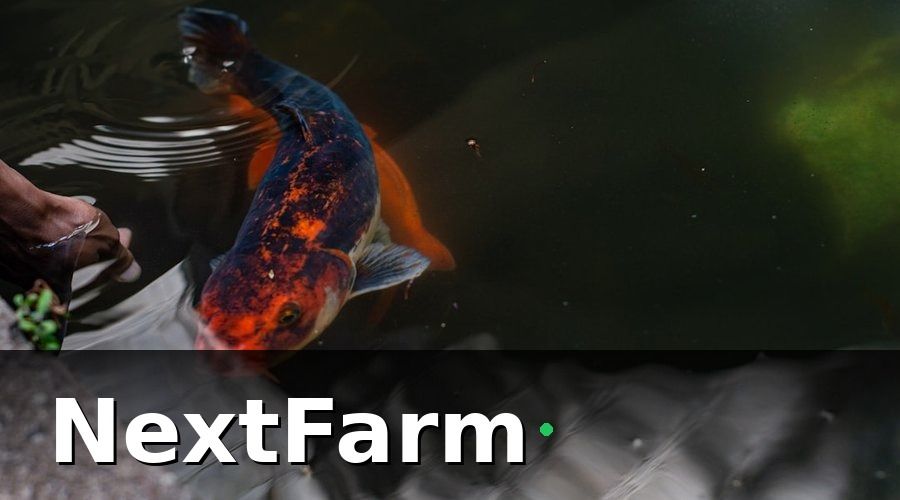 NextFarm — Các gói bảo hiểm tự chọn phổ biến cho ao nuôi tôm