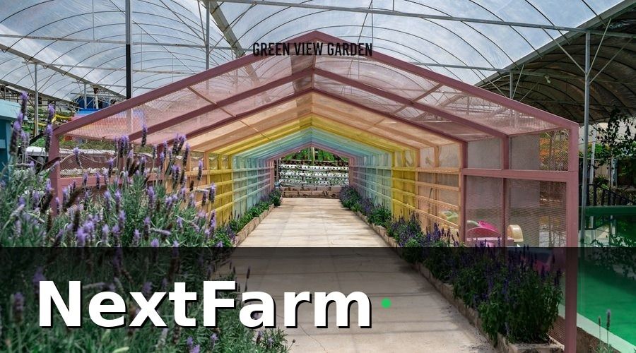 NextFarm — Bảo hiểm nông nghiệp là gì và tại sao trang trại thủy canh cần quan tâm?