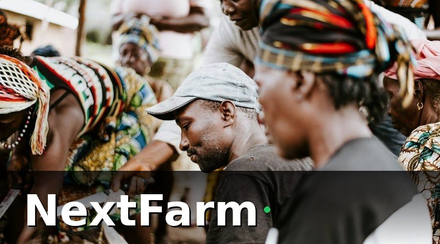 NextFarm — Phân biệt hai loại hình bảo hiểm