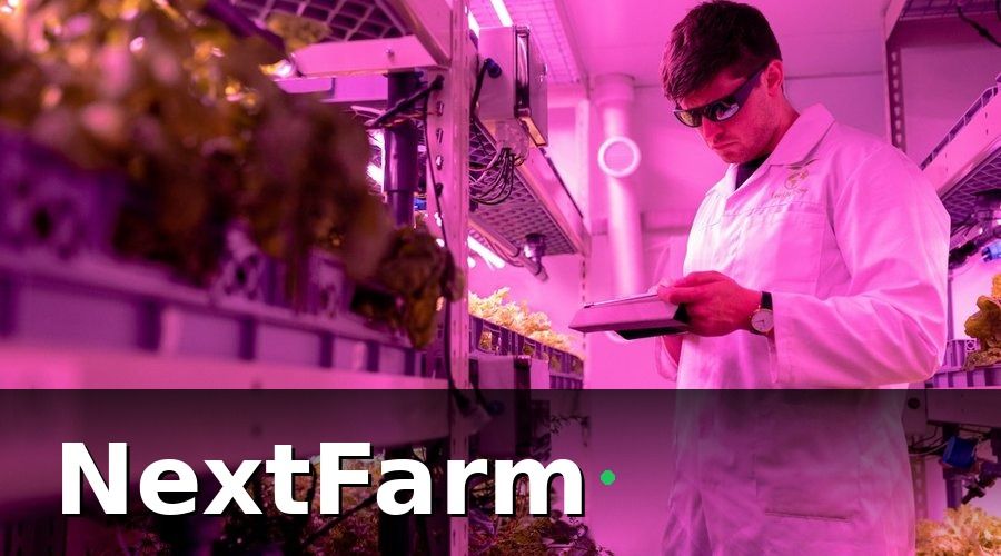NextFarm — Cách chọn gói bảo hiểm phù hợp