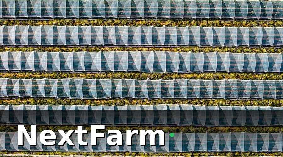 NextFarm — Tại sao hệ thống thủy canh cần bảo hiểm nông nghiệp?