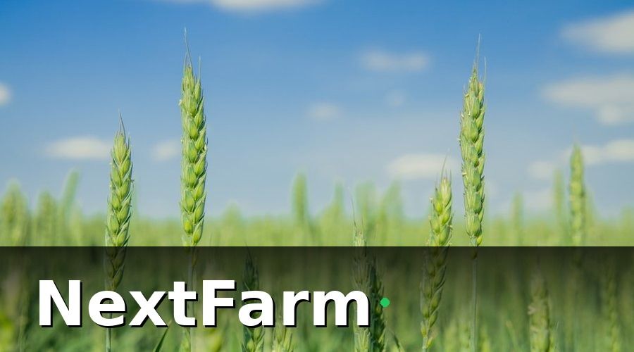 NextFarm — Các loại bảo hiểm cần có cho hệ thống thủy canh