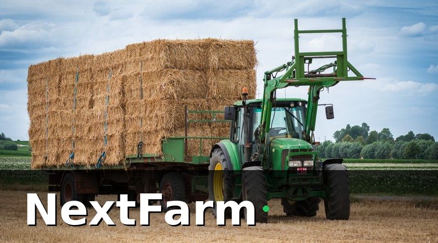 NextFarm — Các loại bảo hiểm tự chọn phổ biến