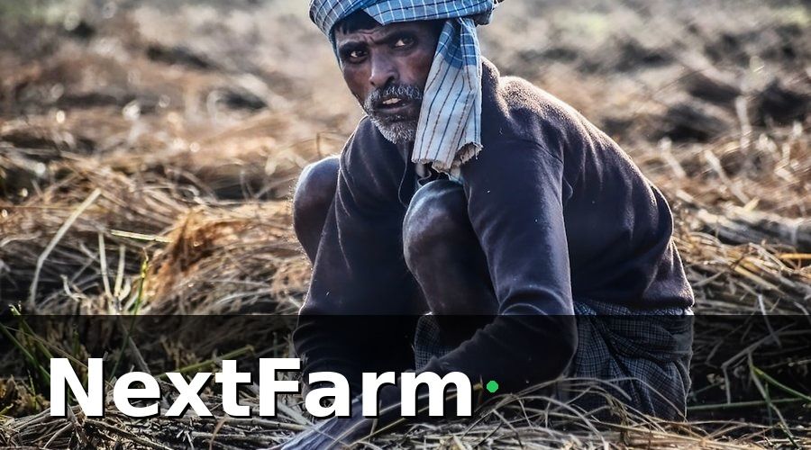 NextFarm — Các loại bảo hiểm nông nghiệp bắt buộc cho trang trại bò thịt