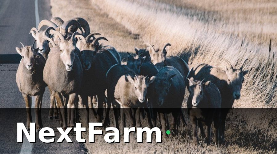 NextFarm — Các loại bảo hiểm tự chọn nên cân nhắc