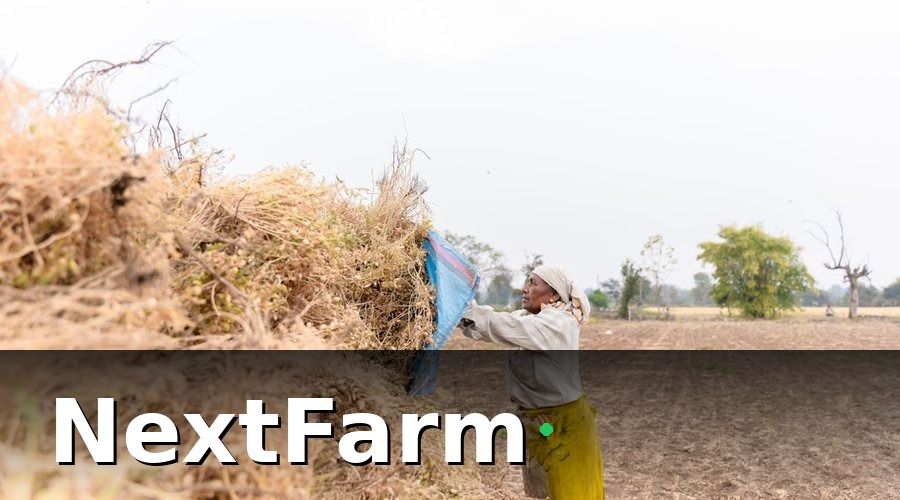 NextFarm — Các loại bảo hiểm nông nghiệp bắt buộc áp dụng cho trang trại dê cừu