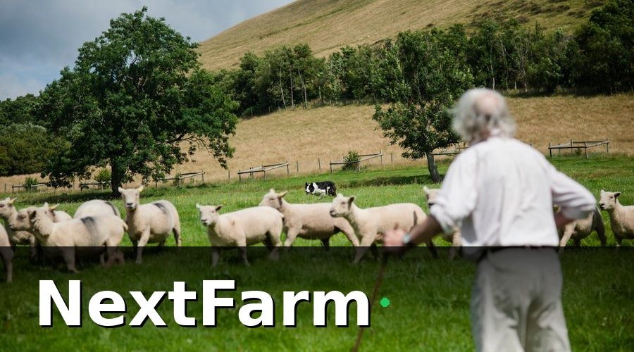 NextFarm — Các loại bảo hiểm tự nguyện nên cân nhắc