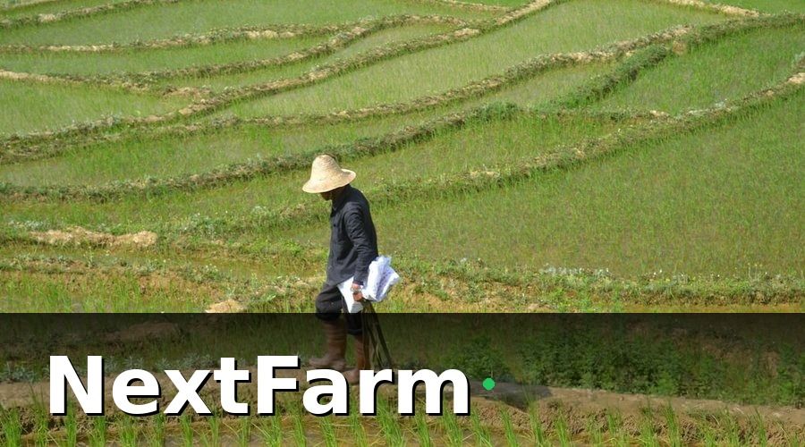 NextFarm — Điều kiện tham gia bảo hiểm nông nghiệp