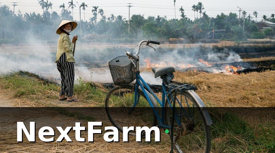 NextFarm — Bảo hiểm nông nghiệp là gì và tại sao nông trại VietGAP cần quan tâm?