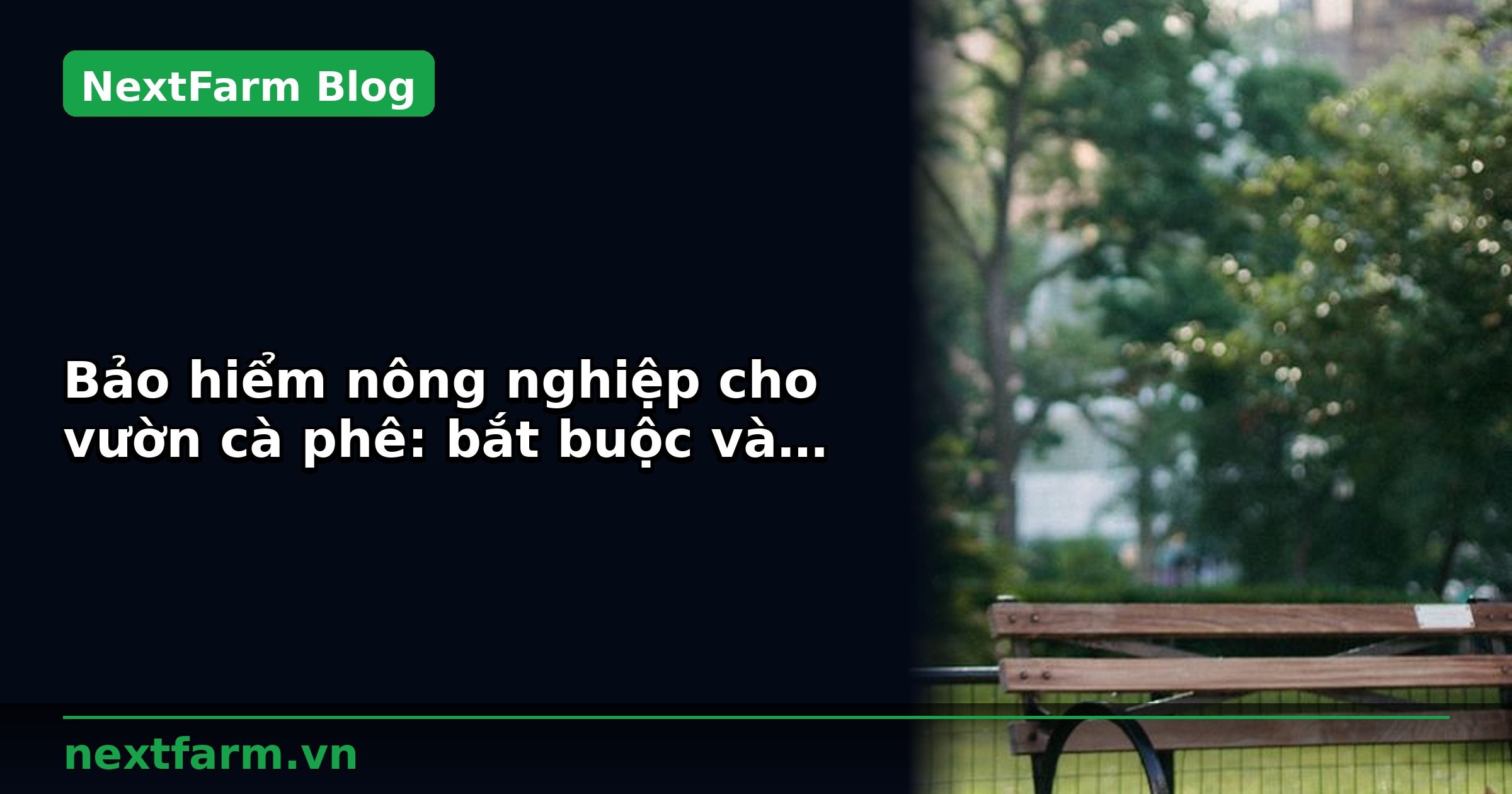 Bảo hiểm nông nghiệp cho vườn cà phê: bắt buộc và tự chọn | NextFarm