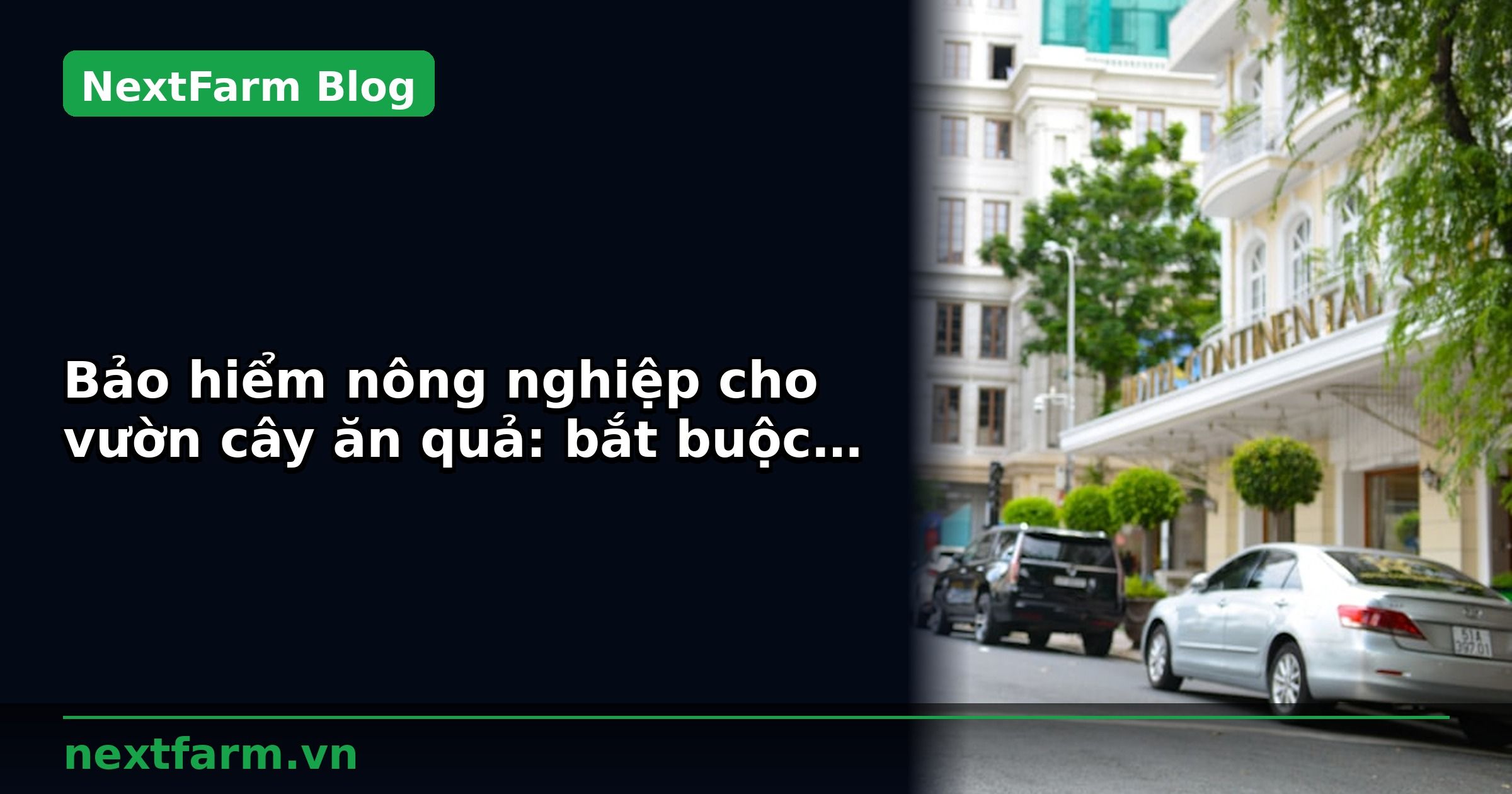 Bảo hiểm nông nghiệp cho vườn cây ăn quả: bắt buộc và tự chọn | NextFarm