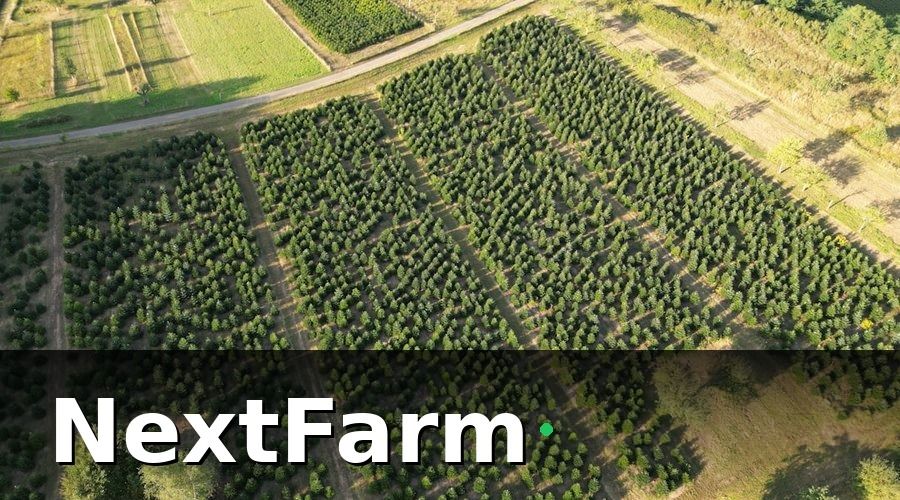 NextFarm — Bảo hiểm nông nghiệp là gì và tại sao vườn cây ăn quả cần?